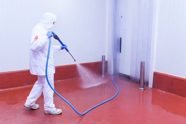 Best Roof Washing  in Garwood, NJ